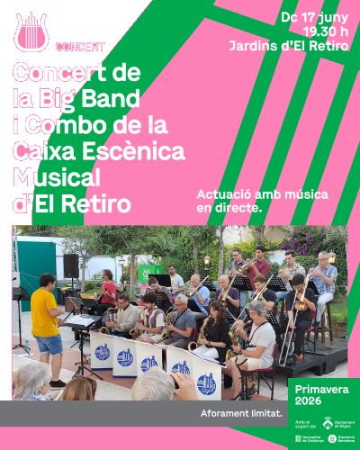 Concert Bigband i Combo
