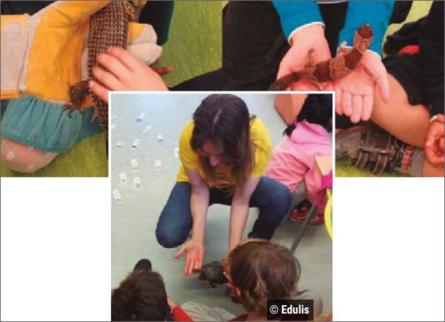 taller_animalons_edulis